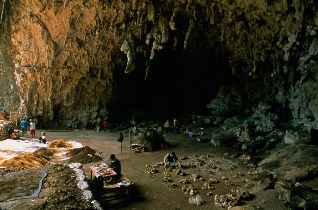 nationalgeographic 962320